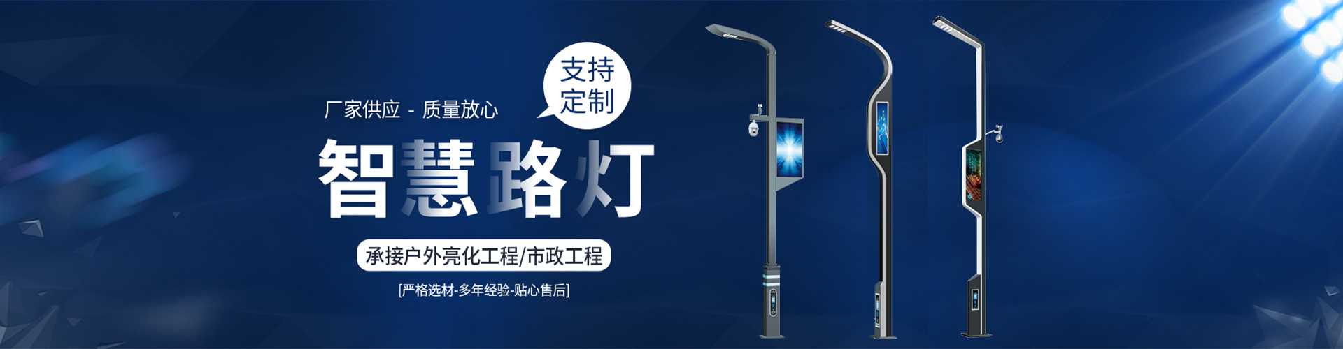 雁江区太阳能路灯定制厂家