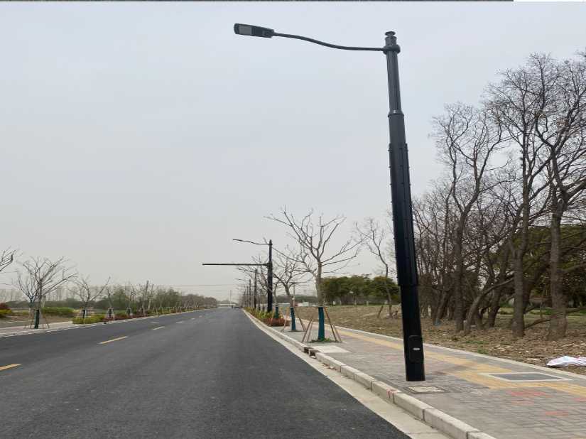 雁江区上海综合杆 太阳能路灯工程